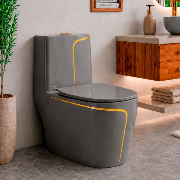 Дизайнерський унітаз Grey 8607